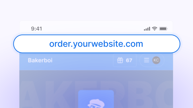 Property 1=Cutom Domain, Size=Large-1